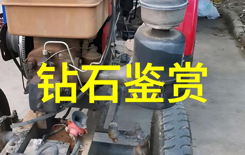 烈火燎原燃烧的热情与不屈的意志