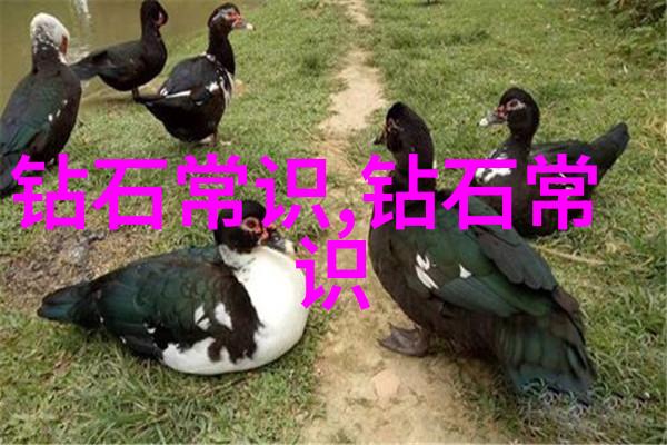 工程造价专业学什么我是怎么掌握的