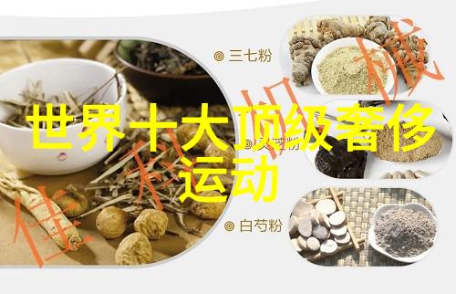 学长的鞭策从错误到进步的征程