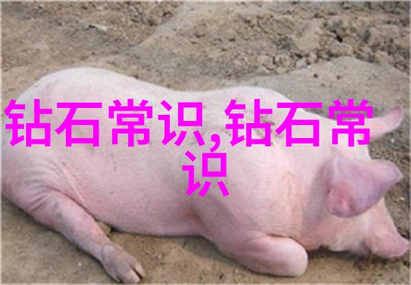 翡翠鉴定艺术 - 探索绿玉之美的科学与直觉