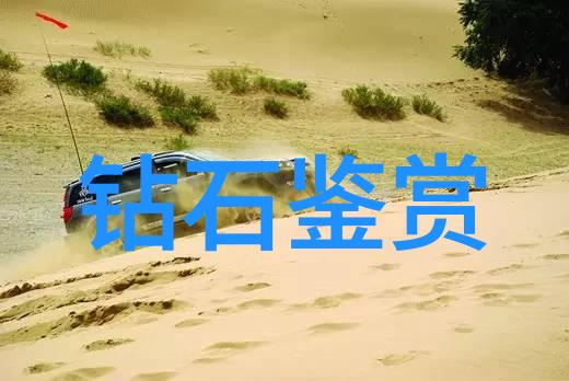 翡翠鉴定专家权威的翡翠鉴定机构和方法