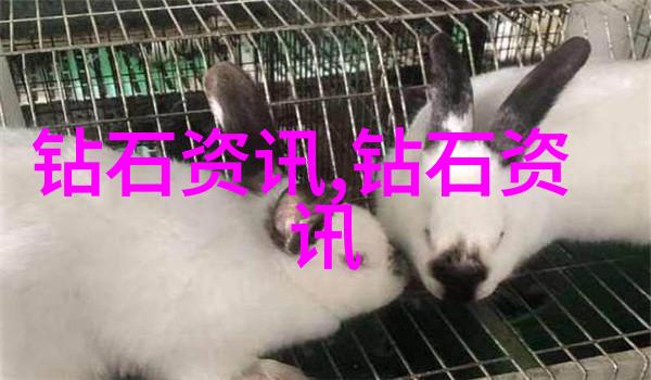 婚纱定制完美的爱情装扮