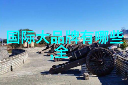 软刺玫瑰爱的无声语言