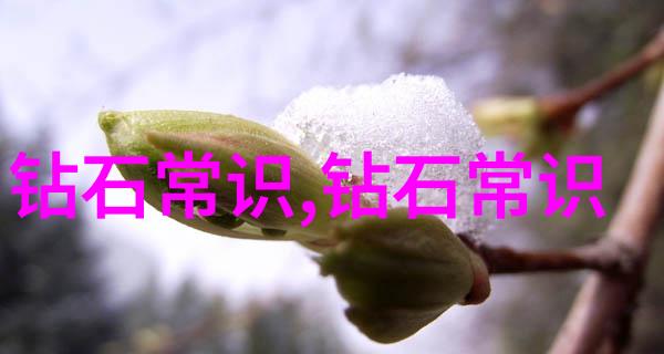 成功的直播需要哪些关键素质和技能呢
