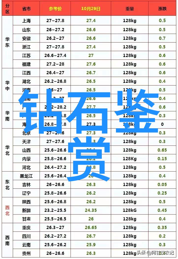 山东工艺美术学院的艺术之花绽放