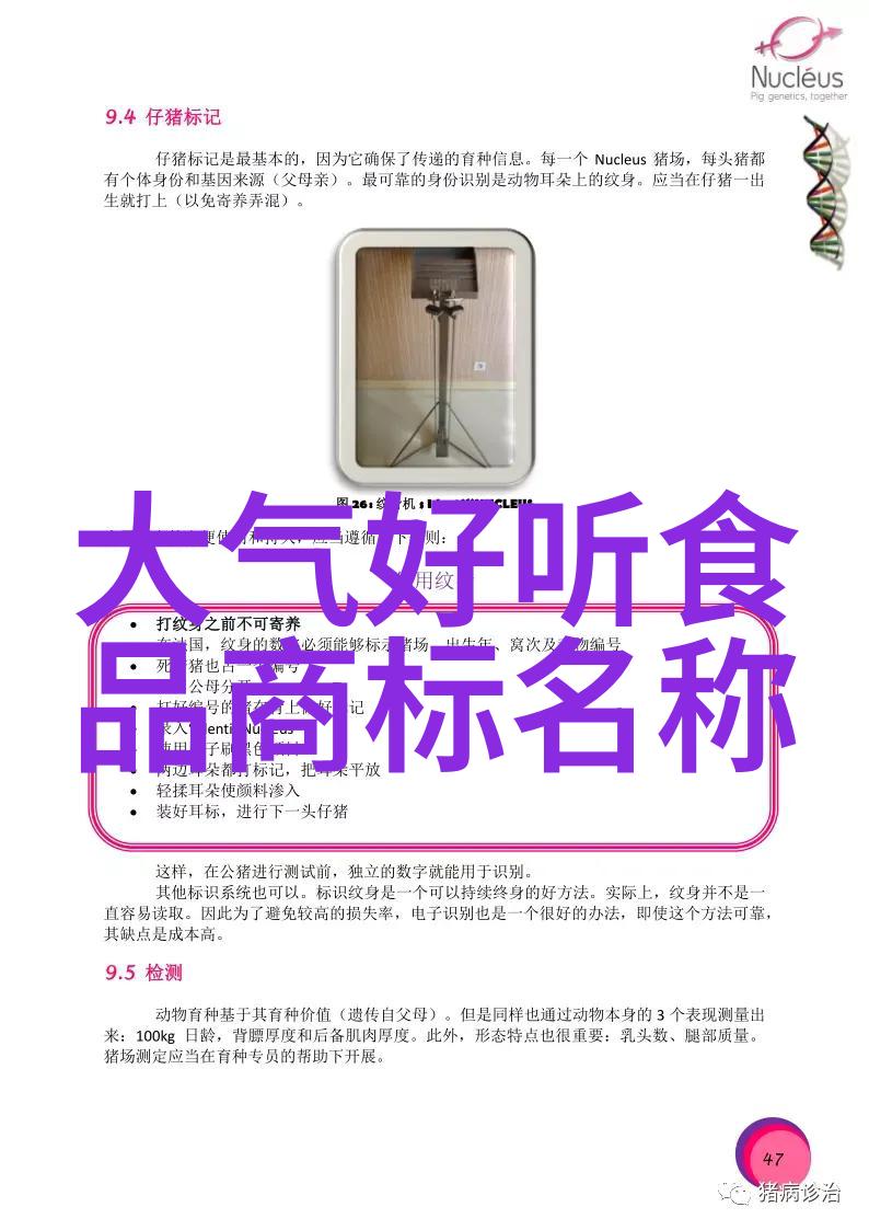 翡翠冰种辨别我是怎么区分真假的