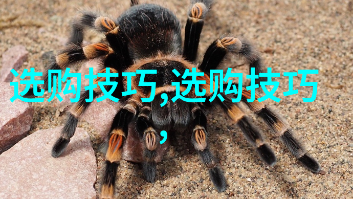玉石故事-碧玺传说从古代宫廷到现代收藏家的故事