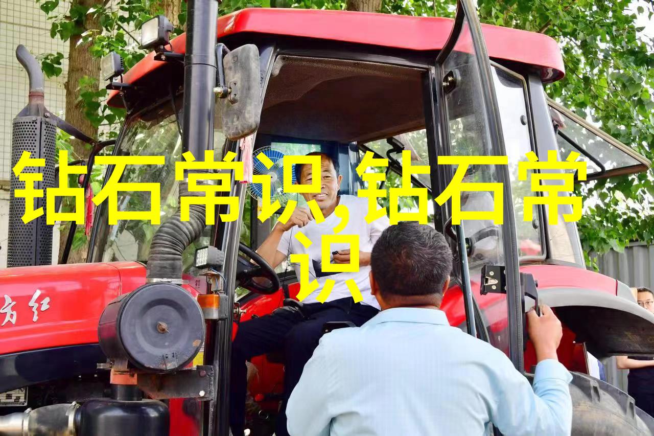生态友好型室内植物墙与其在现代家居中的作用分析