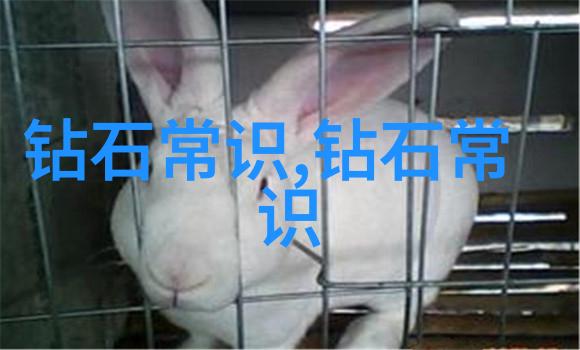 工程造价专业-精准估算与管理工程项目成本控制的艺术探究