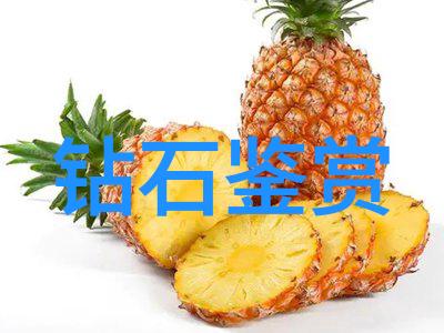 手工活送货上门在家里做DIY手工艺品邮寄服务
