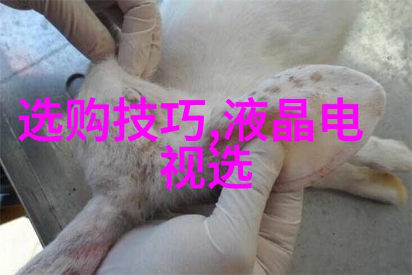 什么是慢生活通过手工制作体验其魅力