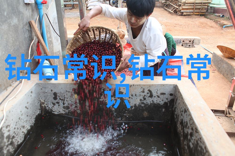 学习技术的最佳年龄是几岁