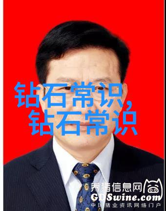探秘中国钻石之都江西浙江与新疆的璀璨宝地
