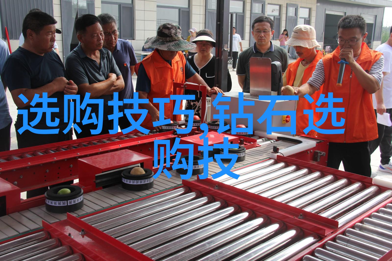 翡翠原石的净度与色带探究碧玉之美
