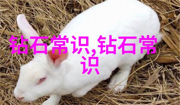 工艺图的精髓揭秘常见图型与其作用
