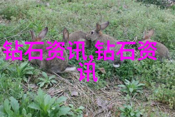幽默风云变幻当代搞笑故事的发展趋势