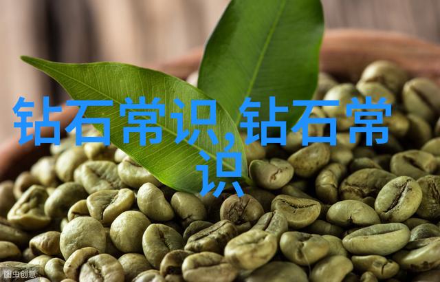 中华园林中的意境与哲学体验苏州园林那份独特的情怀