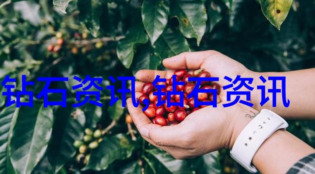 工艺路线设计与优化高效生产流程图绘制技巧
