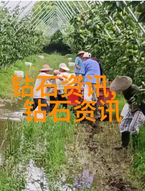 工商管理类精粹从企业策略到市场营销的全方位探索