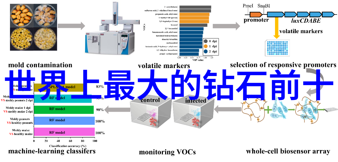 企业管理与发展的新篇章工商管理专业的广阔就业前景
