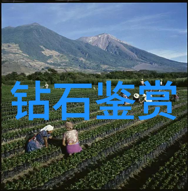 翡翠冰种辨别 - 精选绿宝石的秘密之门