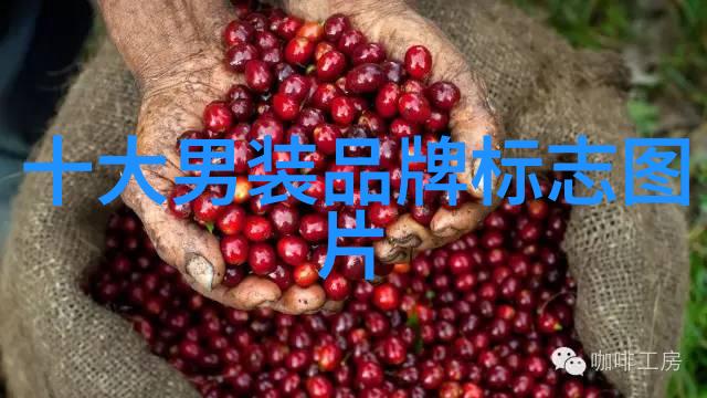 钻石闪耀魅力的稀有宝石的有趣知识