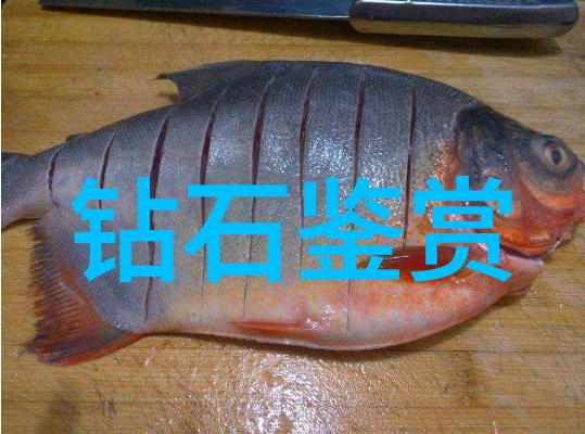 中国传统文化的瑰宝从龙舞到梅花深度探究中国传统艺术与节日的魅力