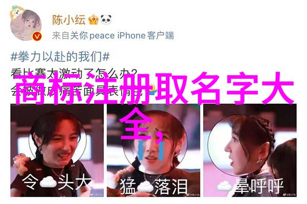 如何有效地应用工程管理原则来提高项目效率
