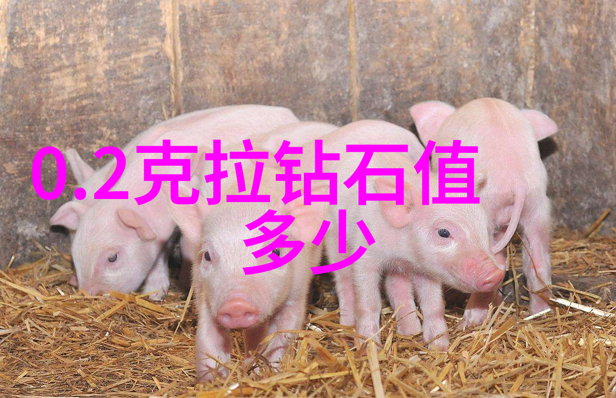 工商管理专业就业前景我来给你分析一下这个热门专业的就业方向