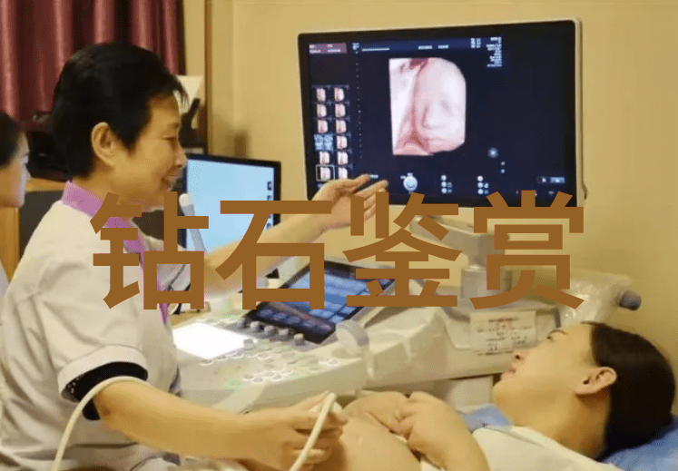 宝石篇章璀璨十杰的光辉岁月