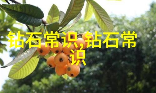 玉石大侦探国家珠宝的隐秘之谜