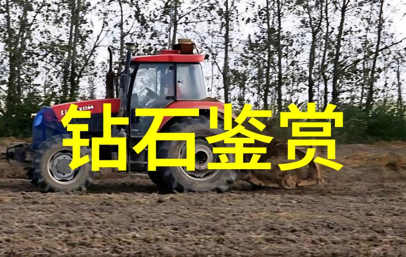 重生之夏泽逆袭的青春