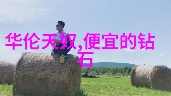 室内环境设计温馨的家居空间之美