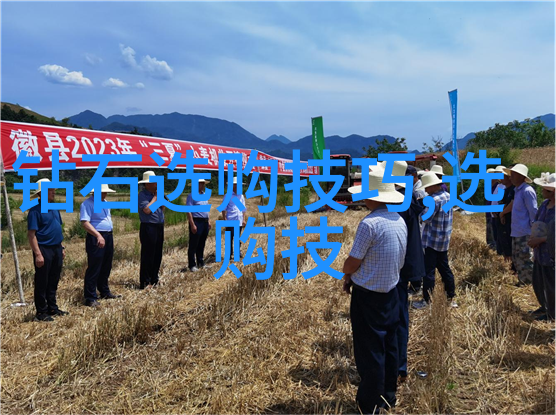 国家珠宝鉴定网站鑫宝认证确保您的贵重品质