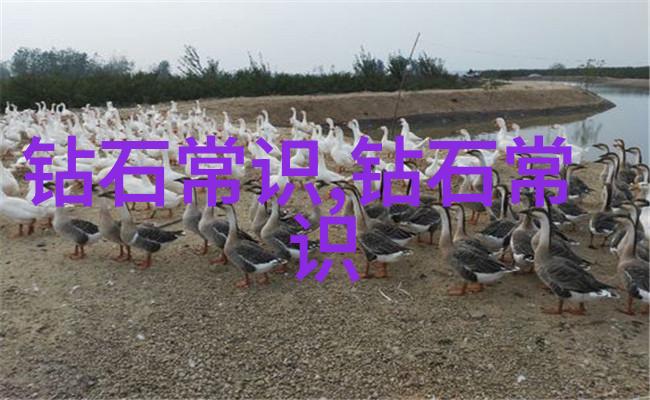 铸造模具制作的工艺流程我的小伙伴们来看看这份精彩的指南吧