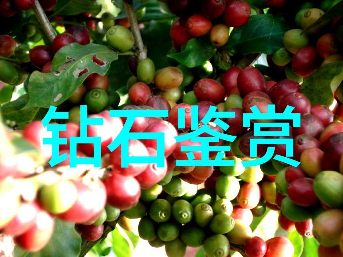 翡翠品质大探秘揭秘这块绿宝石为什么不仅美颜还能撩心动情