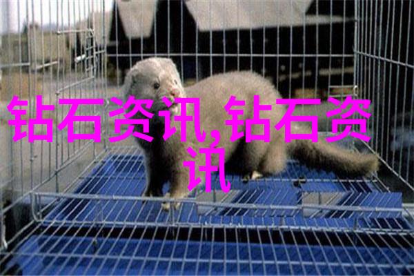 中国传统文化心得感悟中华美德的现代诠释