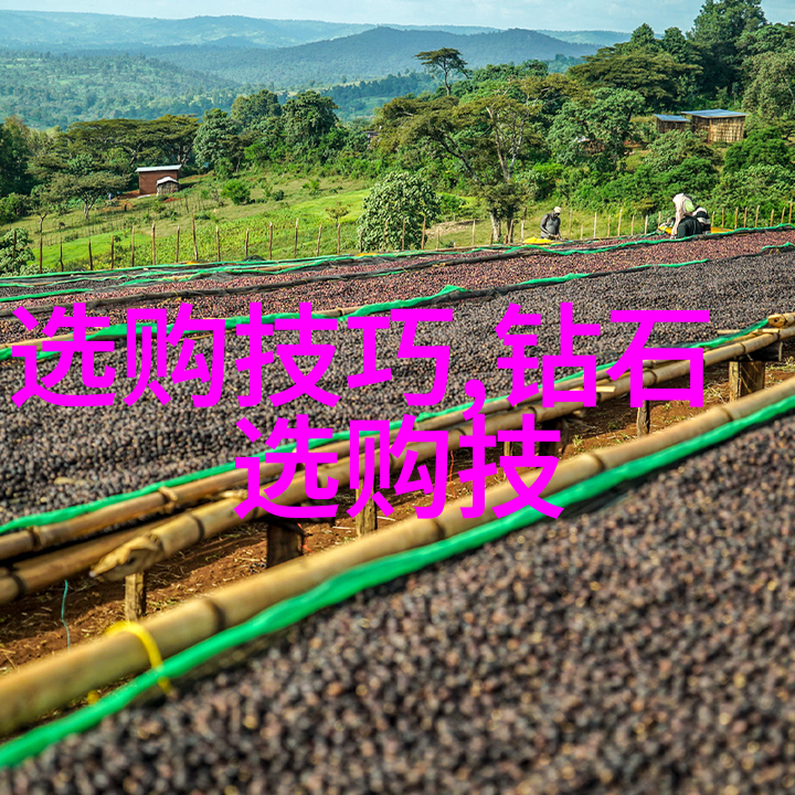 谈谈对工艺的理解-工艺之美技艺与创新相融合