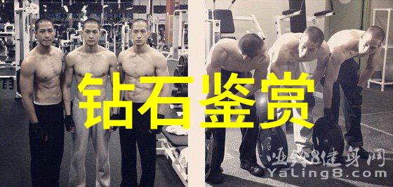 阳光下的美丽一个关于如何在日常生活中找到笑容的故事