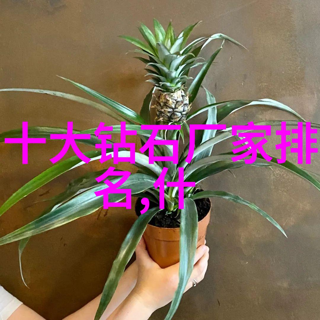 中西文化差异英文200我是如何在异国他乡发现自己文化的独特魅力