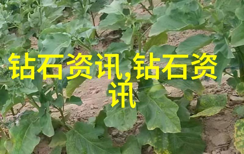 创意满分自己动手做手工艺品的乐趣与挑战