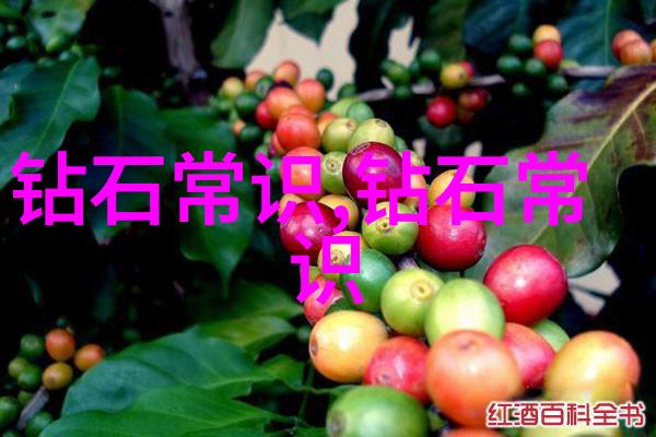 主题我眼中的中华文化的四大精髓故事节日美食和哲学
