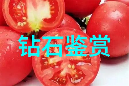古韵诗采-薇花绽放探索诗经中的采薇意象