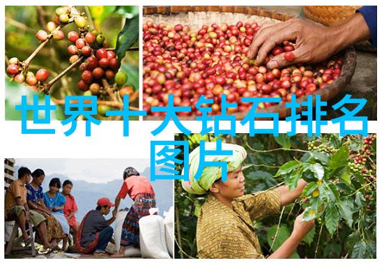 我和世界第三大钻石的故事探秘那颗耀眼的巨星我的奇遇与世界第三大钻石