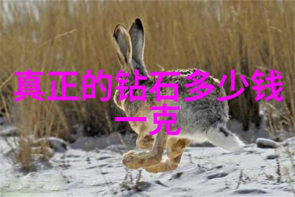中国枪炮红星之光