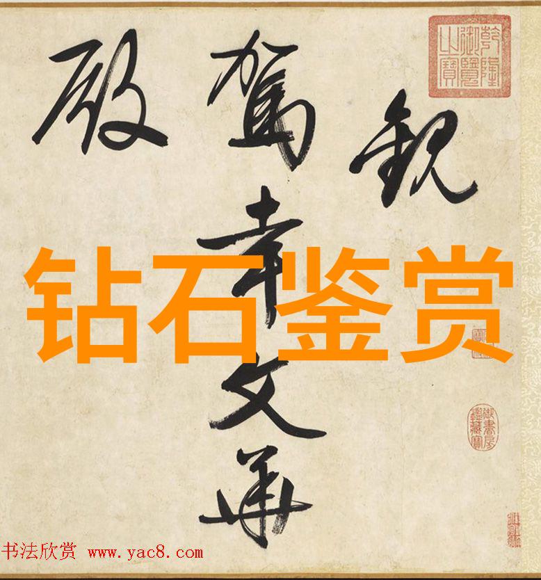 黑暗账簿审计学专业的隐秘追踪