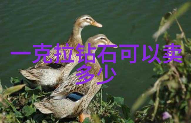 宝石鉴定-精确识别璀璨秘密从颜色到透光度的科学探究