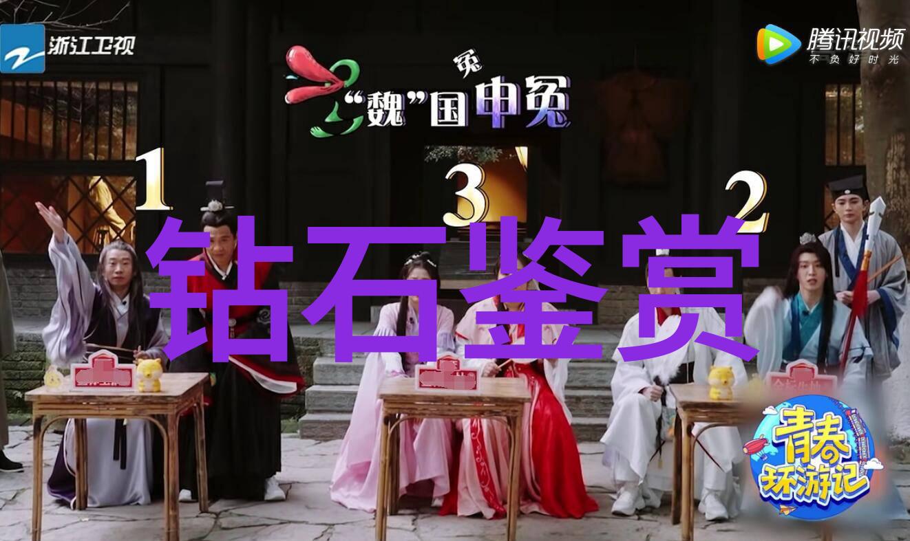 宫廷秘影盛宠庶妃的沉浮之谜