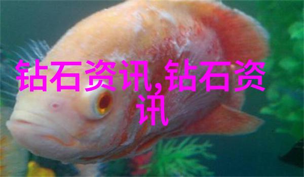 工艺的精髓揭秘生产流程的奥秘