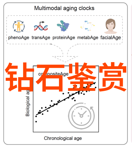 工艺流程图中的关键节点及其作用分析